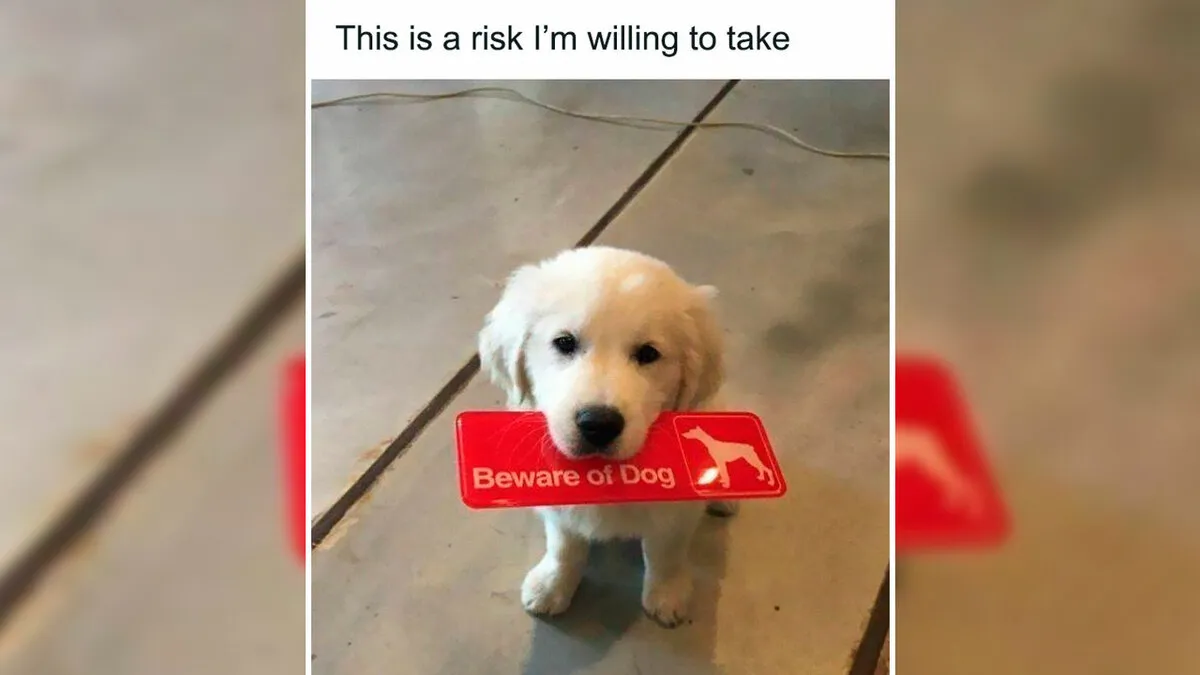 102 Wholesome Moments That Might Restore A Little Faith In Humanity