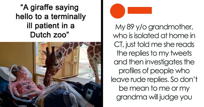 102 Wholesome Moments That Might Restore A Little Faith In Humanity
