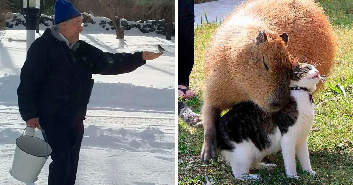 Good News For A Change: 40 Wholesome Posts About People Doing Good