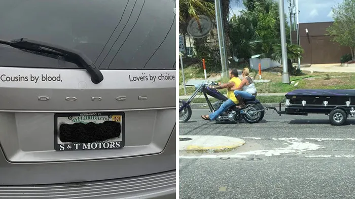73 Florida Pics That Make Common Sense Feel Optional
