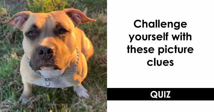 "How Fast Can You Combine These Images?": Test Your Instincts In This Word Challenge