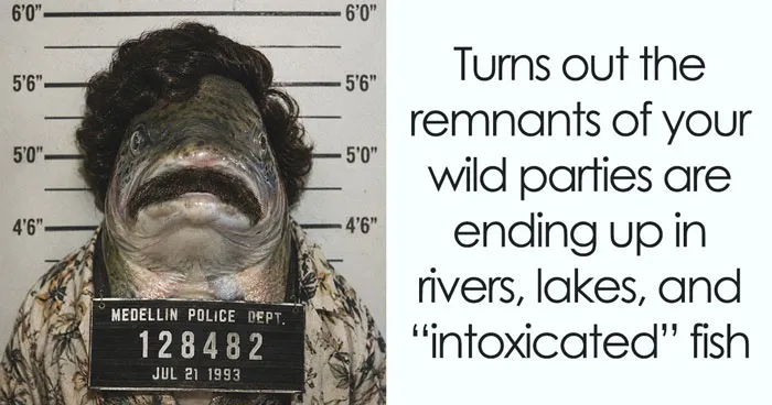 The Thames Has Enough Intoxicating Substances In It To Make The Fish Interesting At Parties
