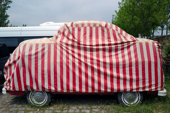 Striped Surprise From The Series 'Shapes Of The World' By Marco Parenti