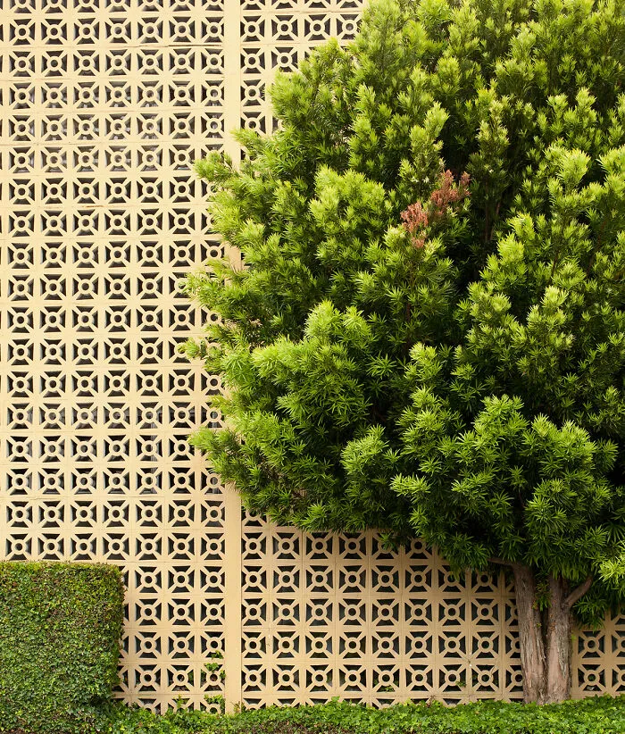 Trimmed From The Series 'Sidewalk Stories' By Julie V Garner