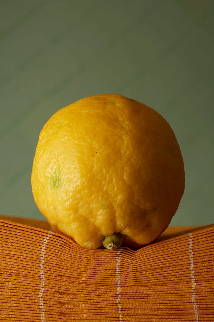 Lemon From The Series 'Colorverse' By Julia Classen And Magdalena Lepka