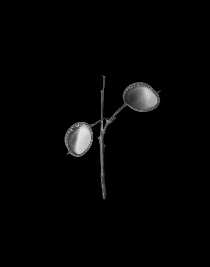 Series 'Holding Infinity' By Tracy Burke