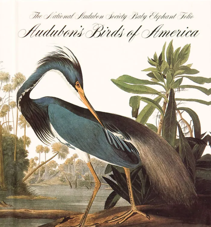 $11.57 Million, Audubon’s Birds Of America (Hesketh Copy)