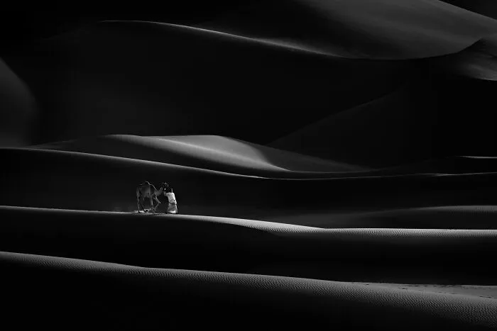 Black & White, 3rd Place: A Whisper In The Sands By Mohamed Noufal