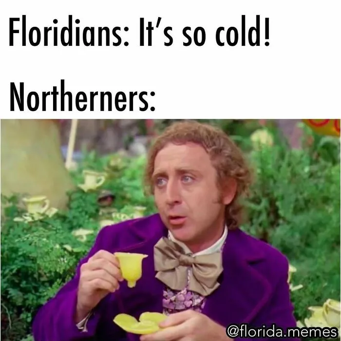 Funny-Florida-Meme