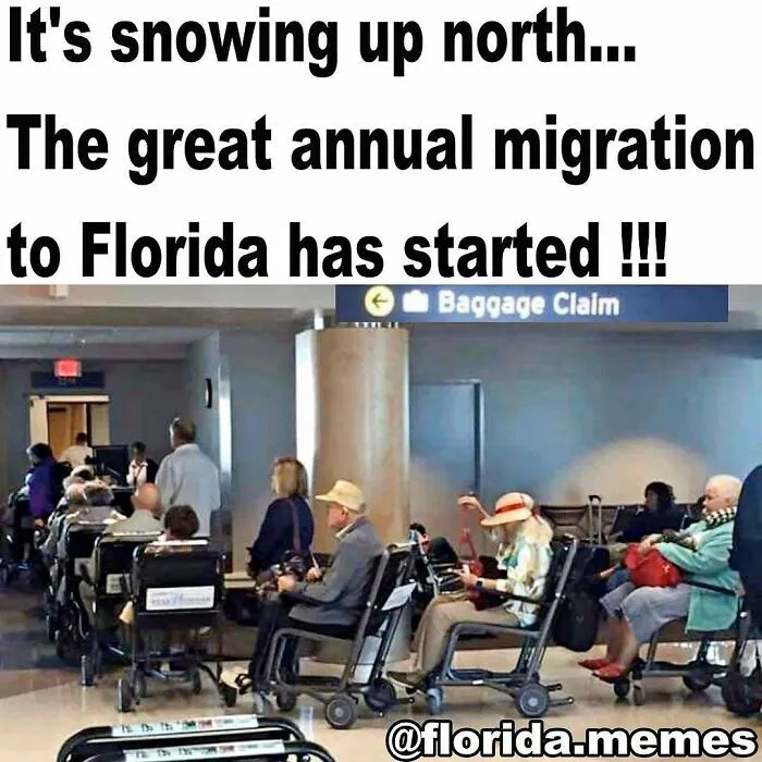 75 Things Floridians Saw That Made Even Them Do A Double Take