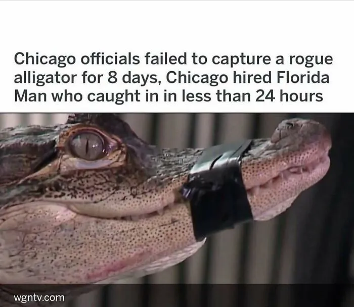 75 Things Floridians Saw That Made Even Them Do A Double Take