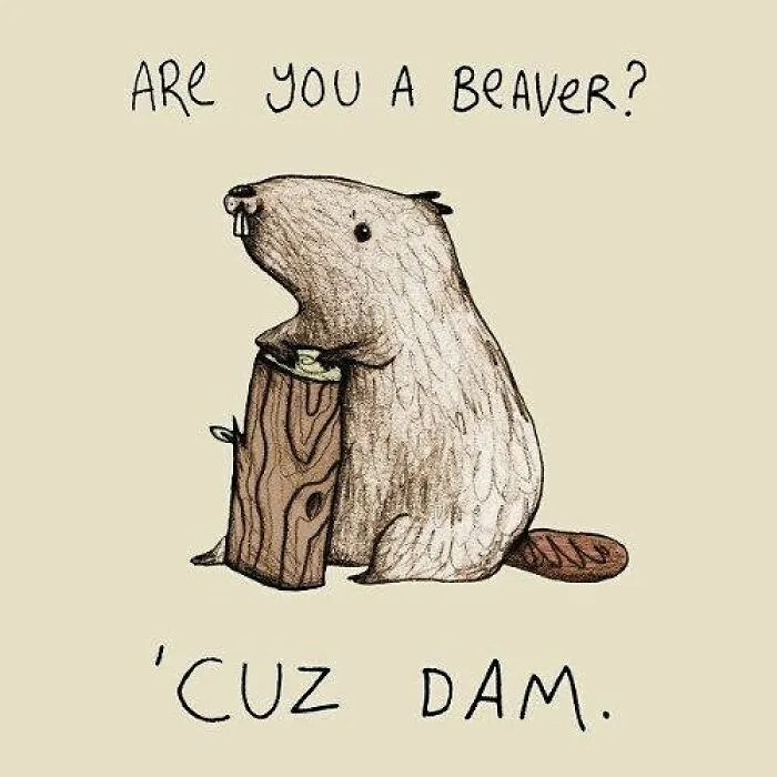 Dirty Pick Up Lines