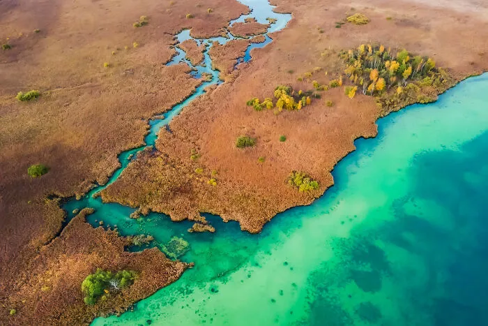 Bavaria's Wild Peatlands By Niklas Banowski & Christopher Meyer