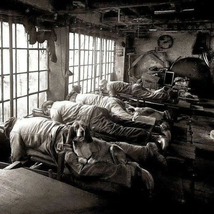 This Photo From 1902 Shows French Knife Grinders. They Would Work On Their Stomachs In Order To Save Their Backs From Being Hunched All Day