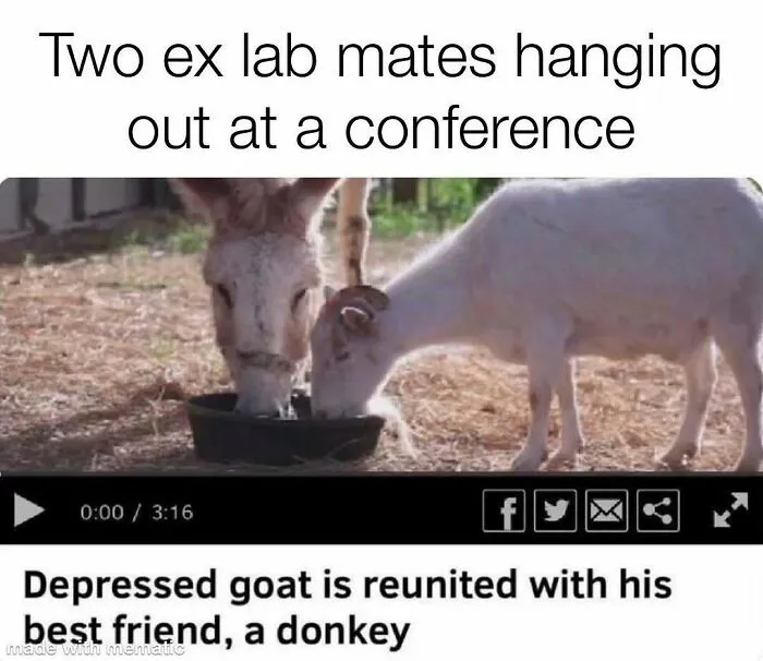 82 Memes That Might Convince You To Not Get That PhD If You’re Still On the Fence