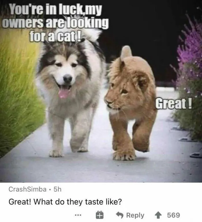 28 Insults And Comments That Are So Accurate It’s Hard Not To Laugh