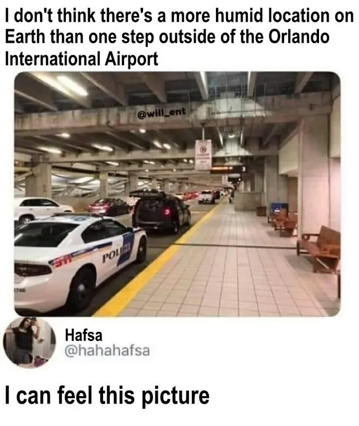 75 Things Floridians Saw That Made Even Them Do A Double Take