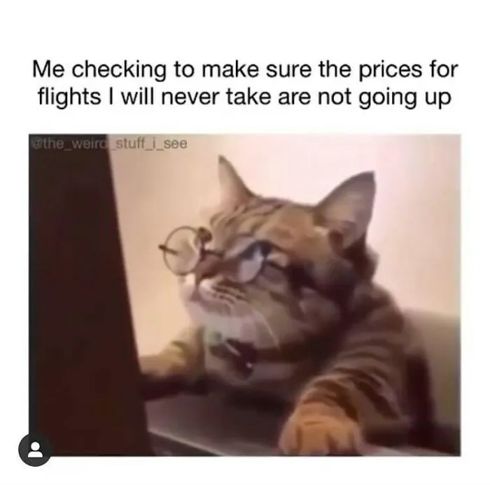 Travel Memes That Capture The Chaos Of Going On Vacation