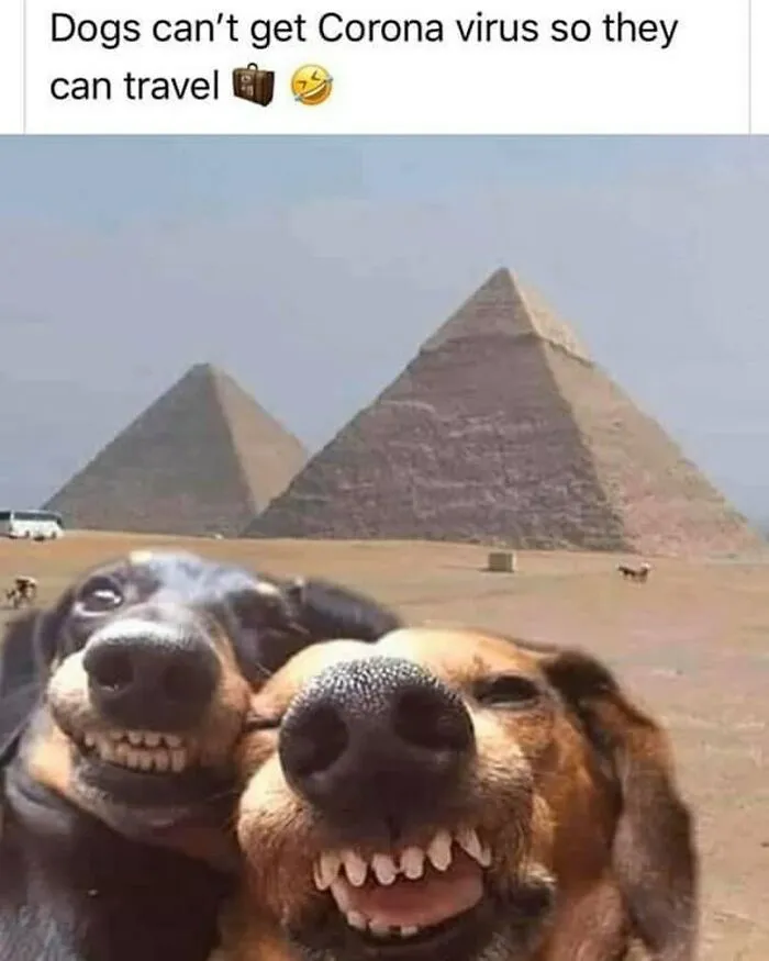 Travel Memes That Capture The Chaos Of Going On Vacation