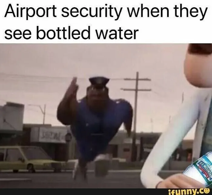 Travel Memes That Capture The Chaos Of Going On Vacation