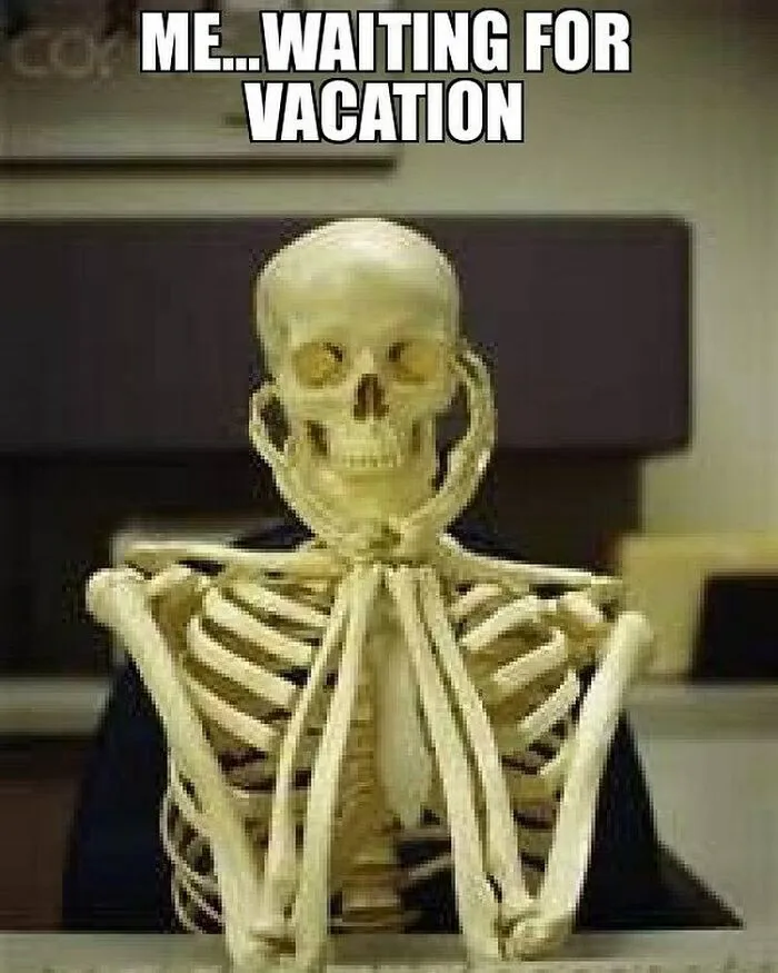Travel Memes That Capture The Chaos Of Going On Vacation