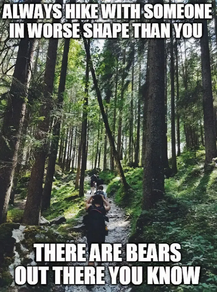 Travel Memes That Capture The Chaos Of Going On Vacation
