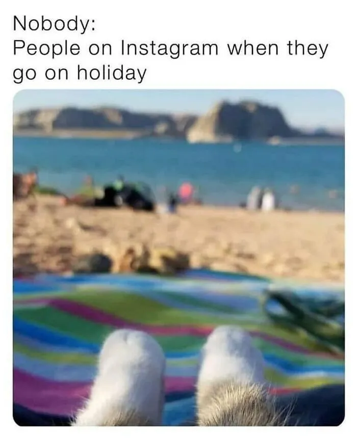 Travel Memes That Capture The Chaos Of Going On Vacation