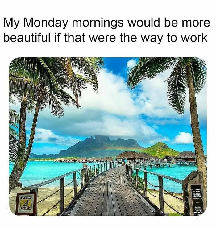 Travel Memes That Capture The Chaos Of Going On Vacation
