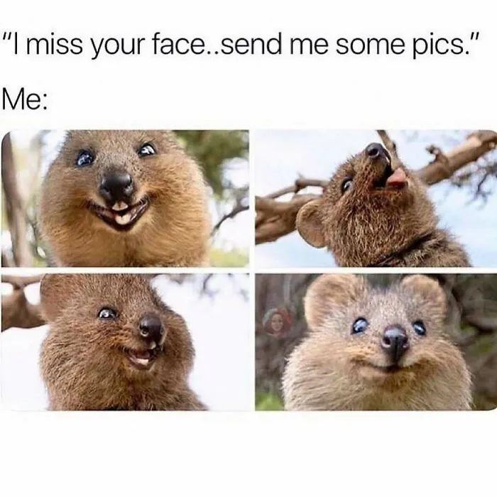 71 Funny Memes For Anyone Fluent In Sarcasm