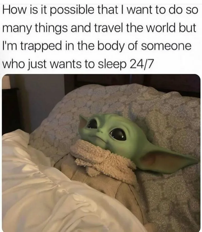 Travel Memes That Capture The Chaos Of Going On Vacation