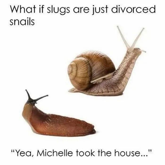71 Funny Memes For Anyone Fluent In Sarcasm