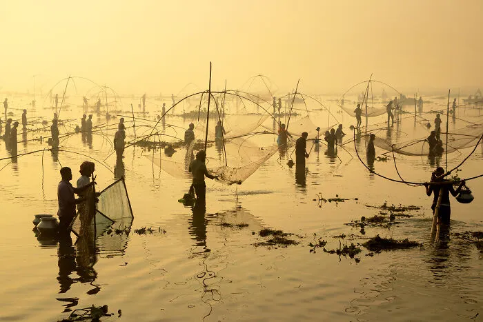 Open Color, Honorable Mention: Catch Of The Day By Joy Saha
