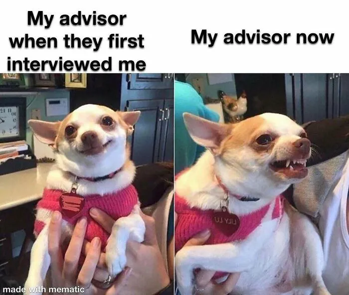 82 Memes That Might Convince You To Not Get That PhD If You’re Still On the Fence