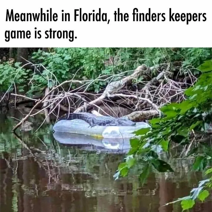 75 Things Floridians Saw That Made Even Them Do A Double Take