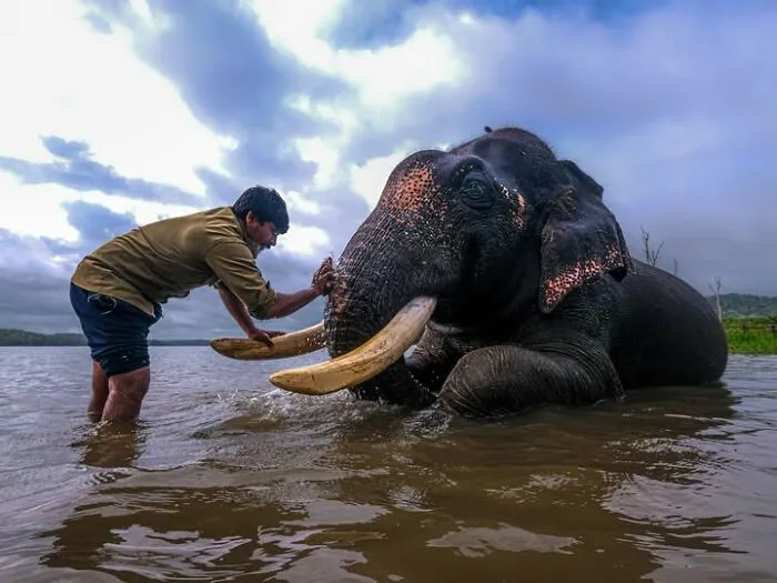 32 Stunning Photographs By This Artist That Turn Fleeting Moments Into Visual Stories
