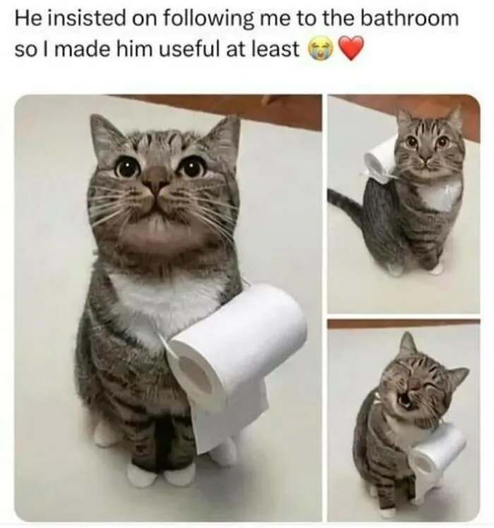 134 Memes That Make A Strong Case For Animals Being The Funniest Part Of The Internet