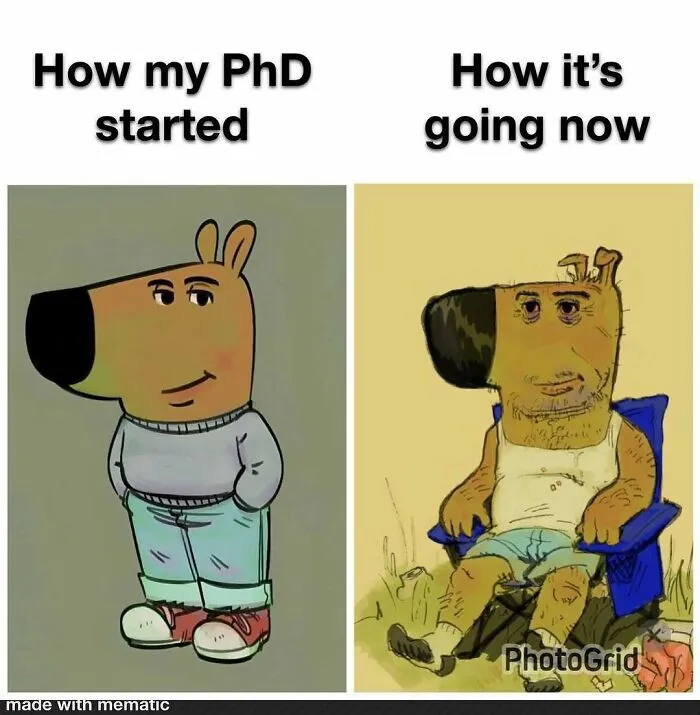82 Memes That Might Convince You To Not Get That PhD If You’re Still On the Fence