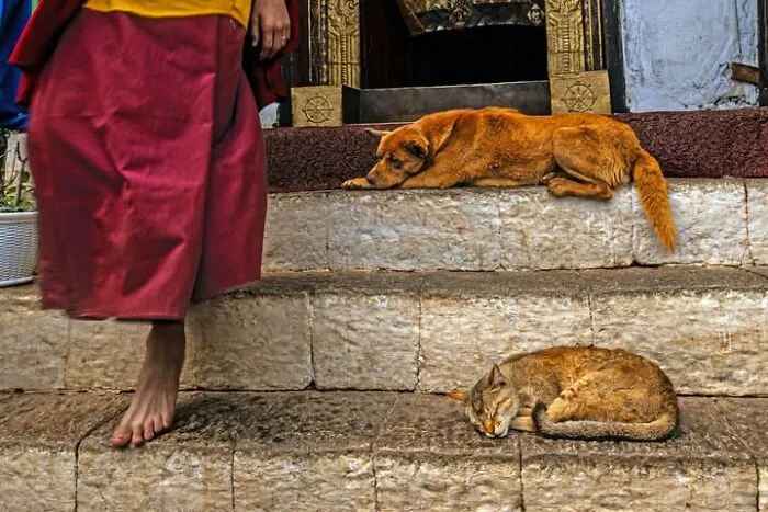 32 Stunning Photographs By This Artist That Turn Fleeting Moments Into Visual Stories