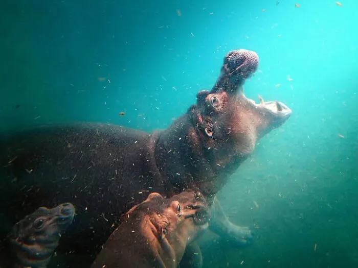 32 Stunning Photographs By This Artist That Turn Fleeting Moments Into Visual Stories
