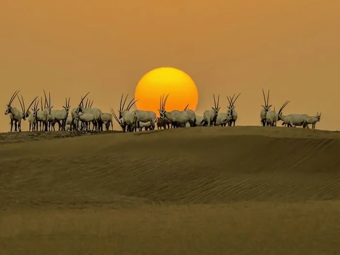 32 Stunning Photographs By This Artist That Turn Fleeting Moments Into Visual Stories