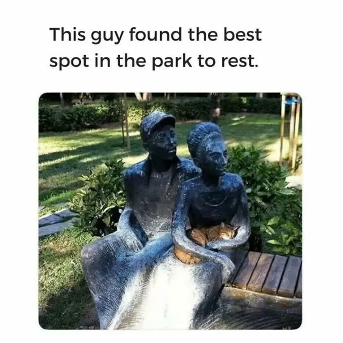 79 Funny Animal Memes To Turn Your Day Around