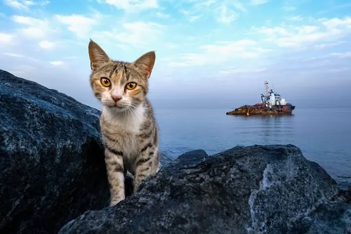 32 Stunning Photographs By This Artist That Turn Fleeting Moments Into Visual Stories