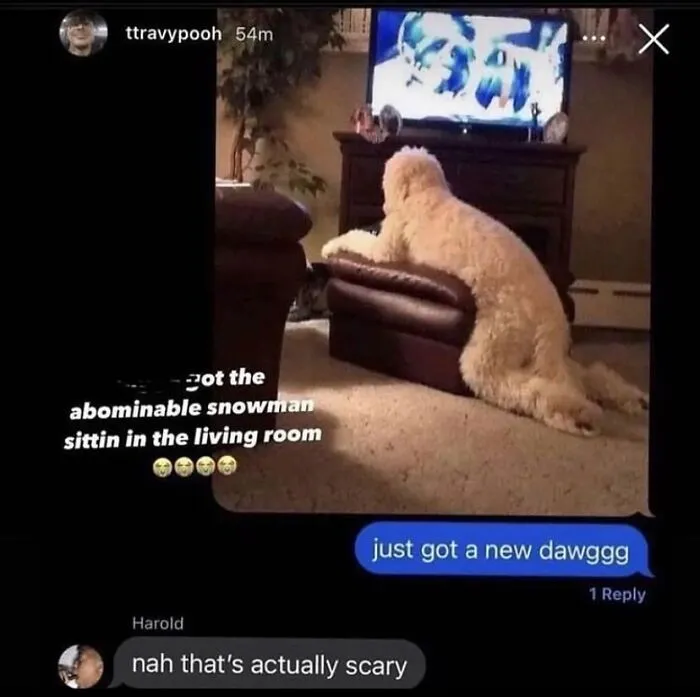 81 Images That Are So Unhinged They Might Actually Be Cursed But They’re Still Funny (New Pics)
