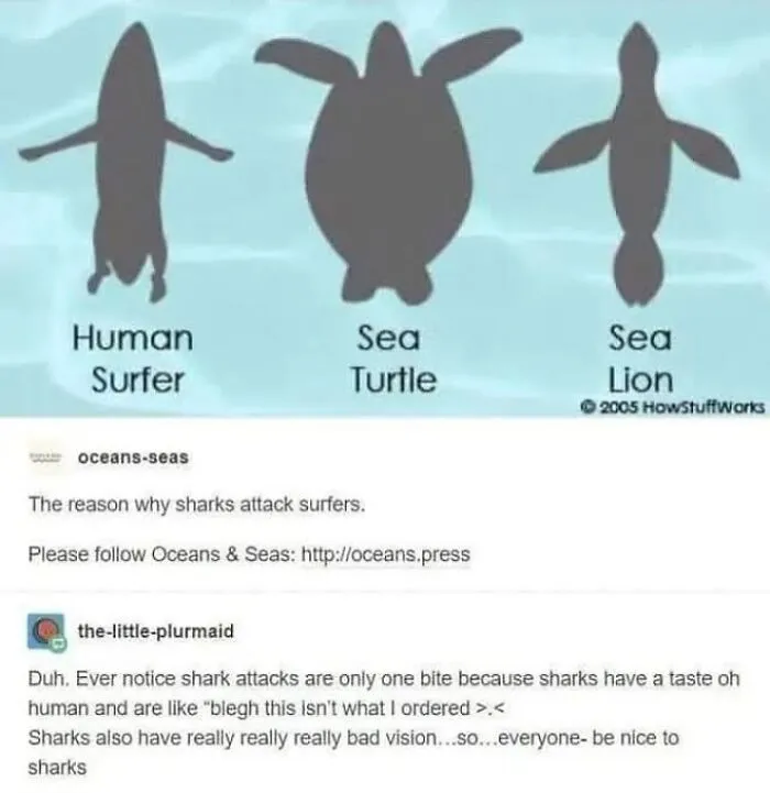 47 Funny Tumblr Posts That Deserve To Be Seen By Those Who Never Used It