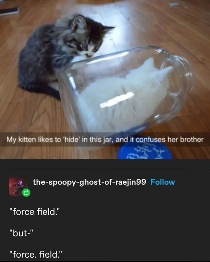 47 Of The Funniest Tumblr Posts That Deserve To Be Seen And Appreciated Again