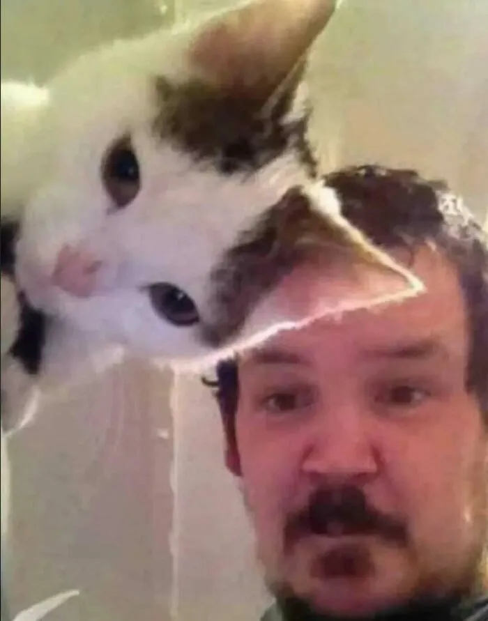 81 Images That Are So Unhinged They Might Actually Be Cursed But They’re Still Funny (New Pics)