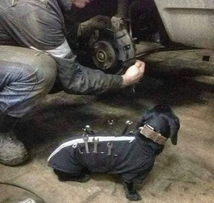 81 Images That Are So Unhinged They Might Actually Be Cursed But They’re Still Funny (New Pics)