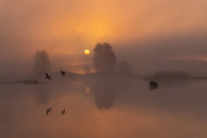 Open Color, 3rd Place: Sunrise At Lake Boora By Todor Tilev