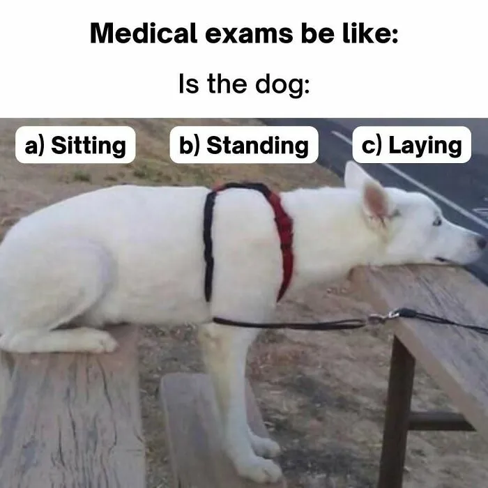 85 Funny Medical Memes That Might Be Just What The Doctor Ordered