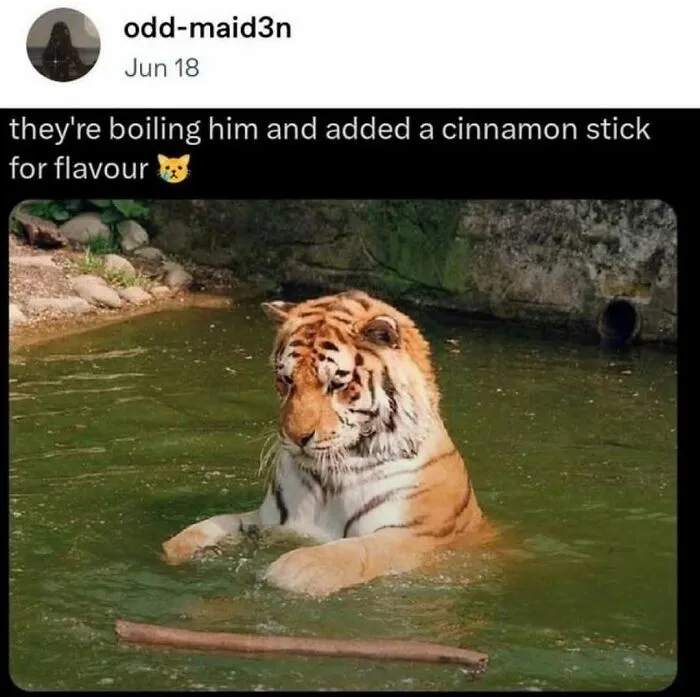 47 Funny Tumblr Posts That Deserve To Be Seen By Those Who Never Used It